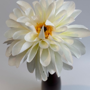 Open-entred Dahlia