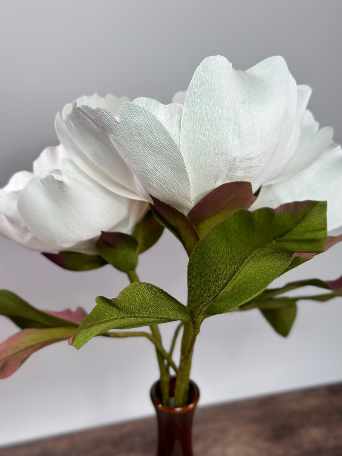 3 Clare De Lune Peonies - Image 5