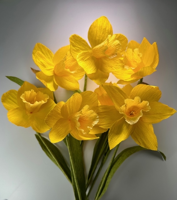 Daffodils