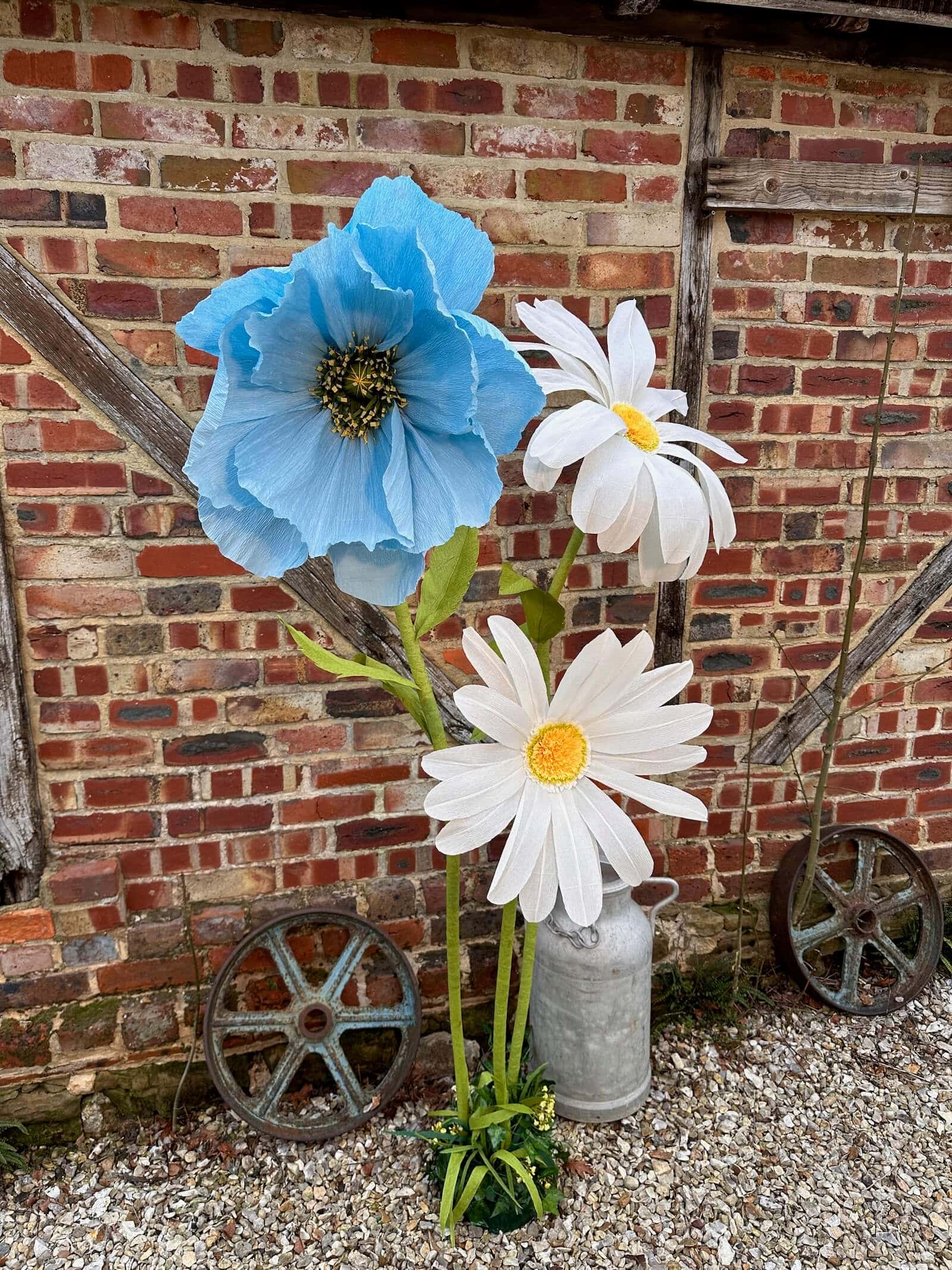 giant daisy and poppy