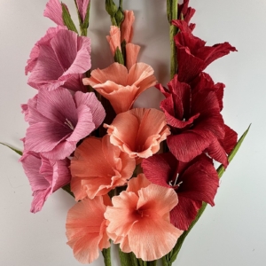 Gladiolus crepe paper flower kit
