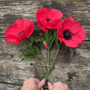 Crepe paper Poppy workshop Denman Horsham house 9th October from 13:30pm to 15:30pm