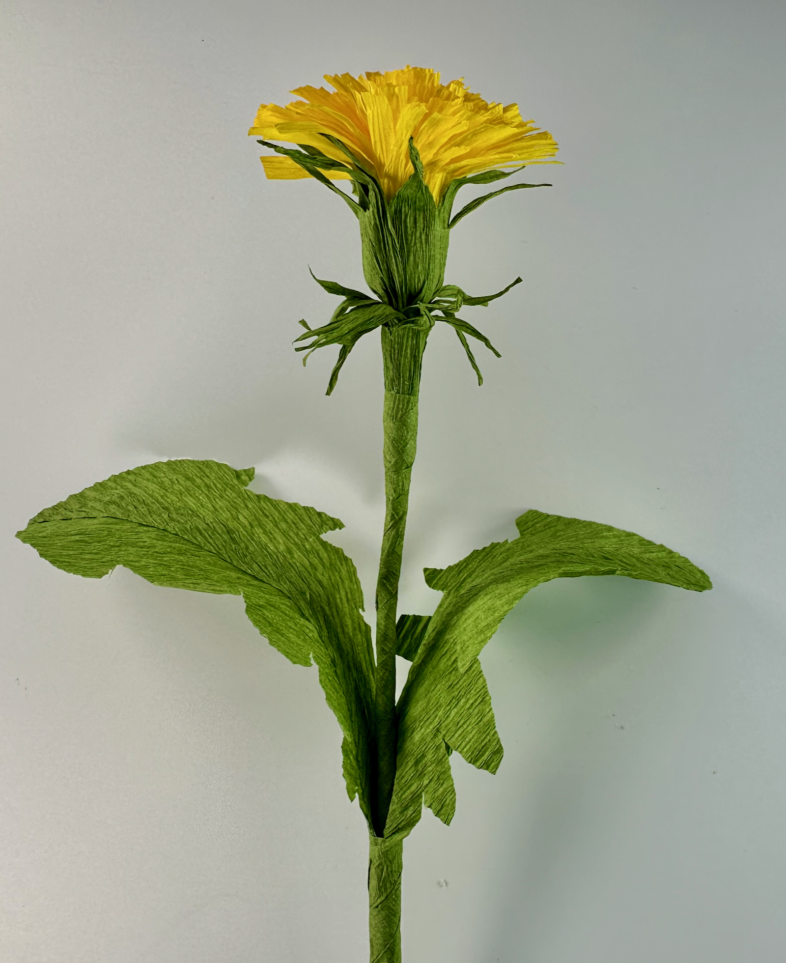 Crepe paper Dandelion flower kit - Image 2