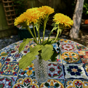 Crepe paper Dandelion flower kit